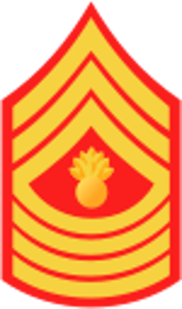 <p>Sergeant Major/Master Gunnery Sergeant</p>