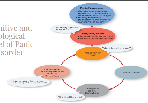 The Cognitive-Biological Model of Panic Disorder