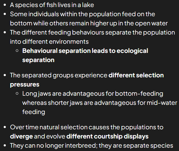 <ul><li><p>takes place w no geographical barrier</p></li><li><p>group of same species living in same place but in order for speciation to take place there must exist 2 pops within that group and no gene flow occurs between</p></li><li><p>something has to split/separate population</p><ul><li><p>ecological separation: populations are separated bc they live in diff environments within same area e.g. soil pH can differ greatly in diff areas so effects flowering and growth</p></li><li><p>behavioural separation: pops separated bc diff behaviors e.g. feeding, comms, social behavior</p></li></ul></li></ul><p>example in pic</p><p></p>