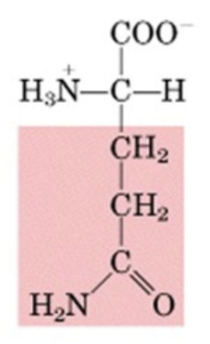 <p>What’s this aminoacid?</p>