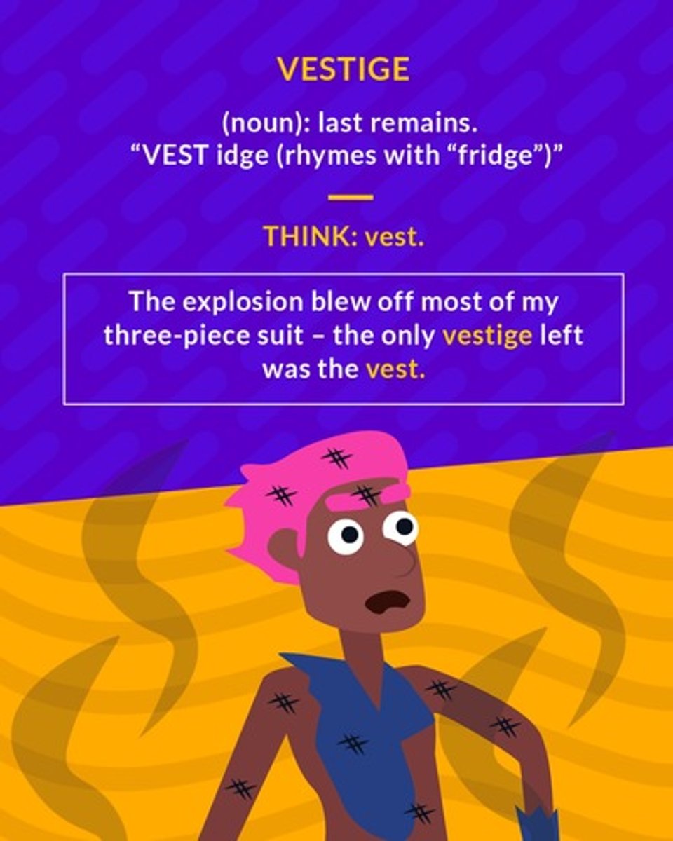 <p>a trace or evidence of something that once existed</p>