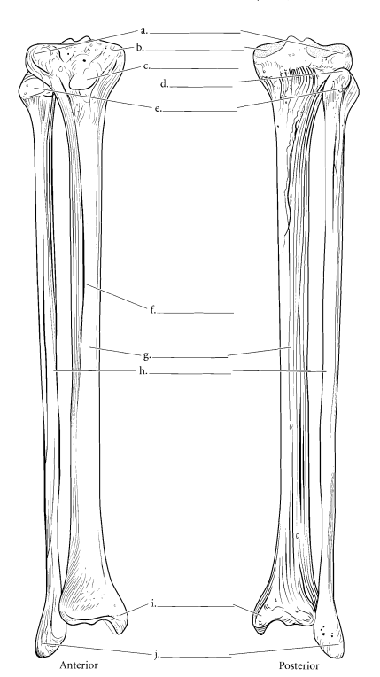 <p>What is i, J, and E</p>