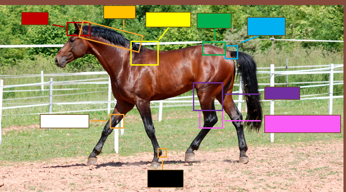 <p>Label the red square</p>