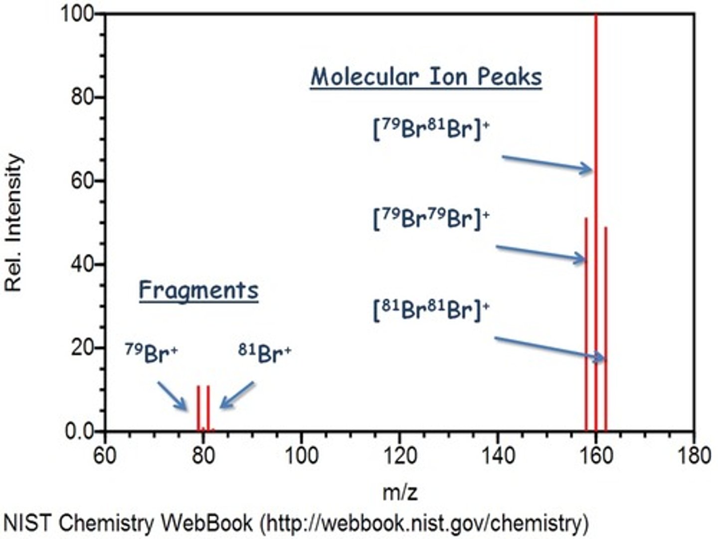<p>- 1:1 ratio for Br+ ions</p><p>- 1:2:1 ratio for Br2+ ions</p>
