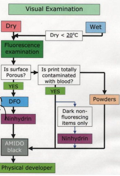 <p>Fingerprints in blood</p>