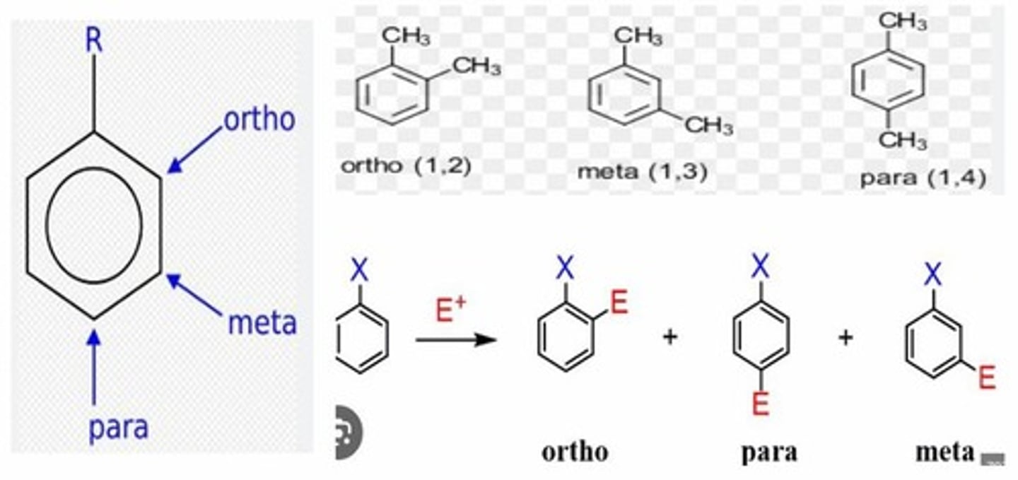 <p>They refer to the relative positions of substituents on a benzene ring: ortho (adjacent), meta (separated by one carbon), and para (opposite sides).</p>