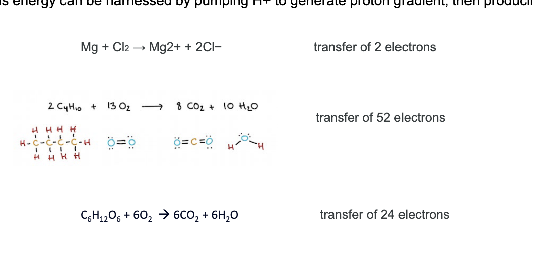 <ul><li><p>electron donor = being oxidized </p><ul><li><p>THINK: OIL RIG</p><ul><li><p>oil = oxidation is loss of electrons → donating electrons</p></li></ul></li></ul></li><li><p>electron receiver = being reduced</p><ul><li><p>THINK: opposite of reduction is gain → gain of electrons</p></li></ul></li><li><p>energy is released when electrons are transferred from <strong>high energy state</strong> to <strong>low energy state</strong>; this energy can be harnessed by <u>pumping H+ to generate proton gradient</u> then <u>producing ATP</u></p></li><li><p>examples</p><ul><li><p>Mg + Cl<sub>2</sub> → Mg<sup>2+</sup> + 2Cl<sup>-</sup></p><ul><li><p>Mg is oxidized → loses 2 e-</p></li><li><p>Cl is reduced → each Cl atom gains 1 e- </p></li></ul></li></ul></li></ul><p></p>