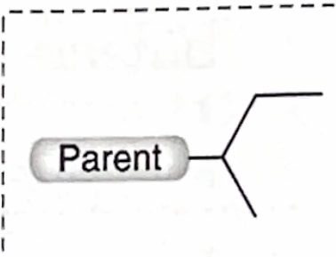 <p>Identify this branch Alkyl substituent</p>
