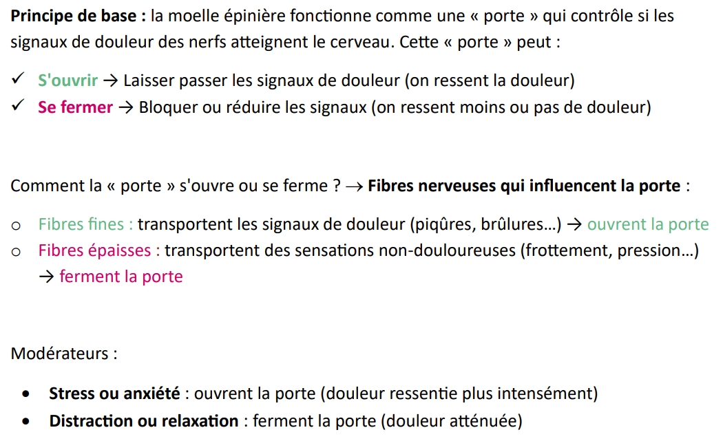 <p><span>Théorie qui explique la régulation des signaux de douleur par la moelle épinière</span></p>