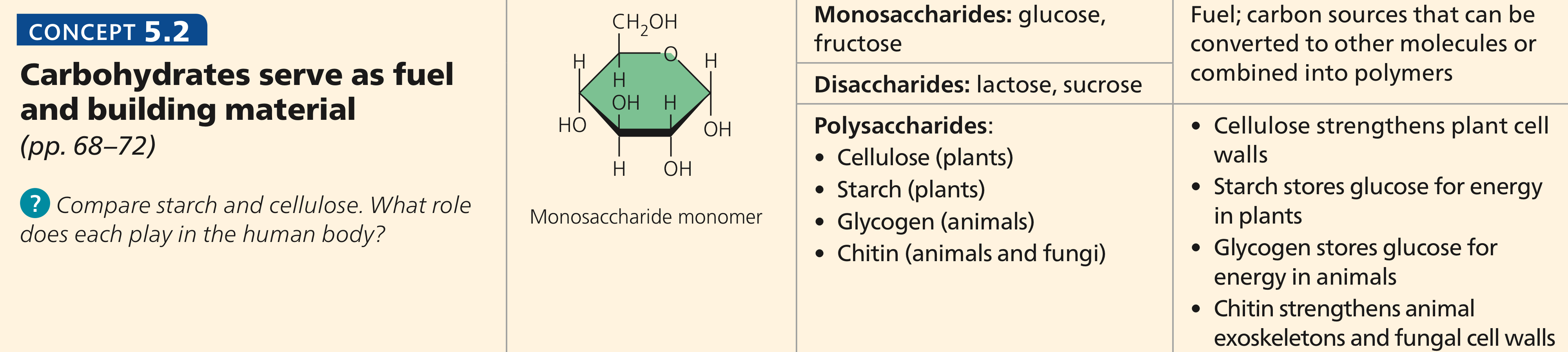 <ul><li><p><strong>Carbohydrates</strong>: energy source for humans</p><ul><li><p>formed from monosaccharides (simple sugars)</p></li></ul></li><li><p><strong>Elements</strong></p><ul><li><p>Carbon, hydrogen, &amp; oxygen</p></li></ul></li><li><p><strong>ALL carbohydrates are POLAR → hydrophilic</strong></p></li></ul><p></p>