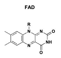 <p>-FAD+= oxidation<br>- FADH2= reduction </p>