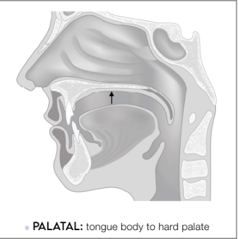 <p>tongue body to hard palate</p>