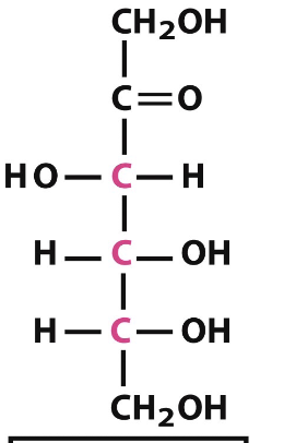 <p>what is the name of this structure? </p>
