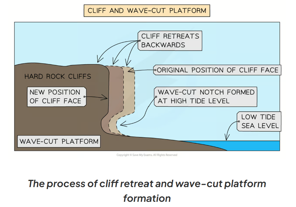 <p>-As the sea attacks the base of the cliff between the high and low water mark, a wave-cut notch is formed.</p><p>-Erosion (abrasion, hydraulic action, attrition and corrosion) extend the notch back into the cliff</p><p>-The undercutting of the cliff leads to instability and collapse of the cliff</p><p>-The backwash of the wavs, carries away the eroded material , leaving behind a wave cut platform.</p><p>-This process repeats and the coast continues to retreat, leading to a coastal retreat</p>