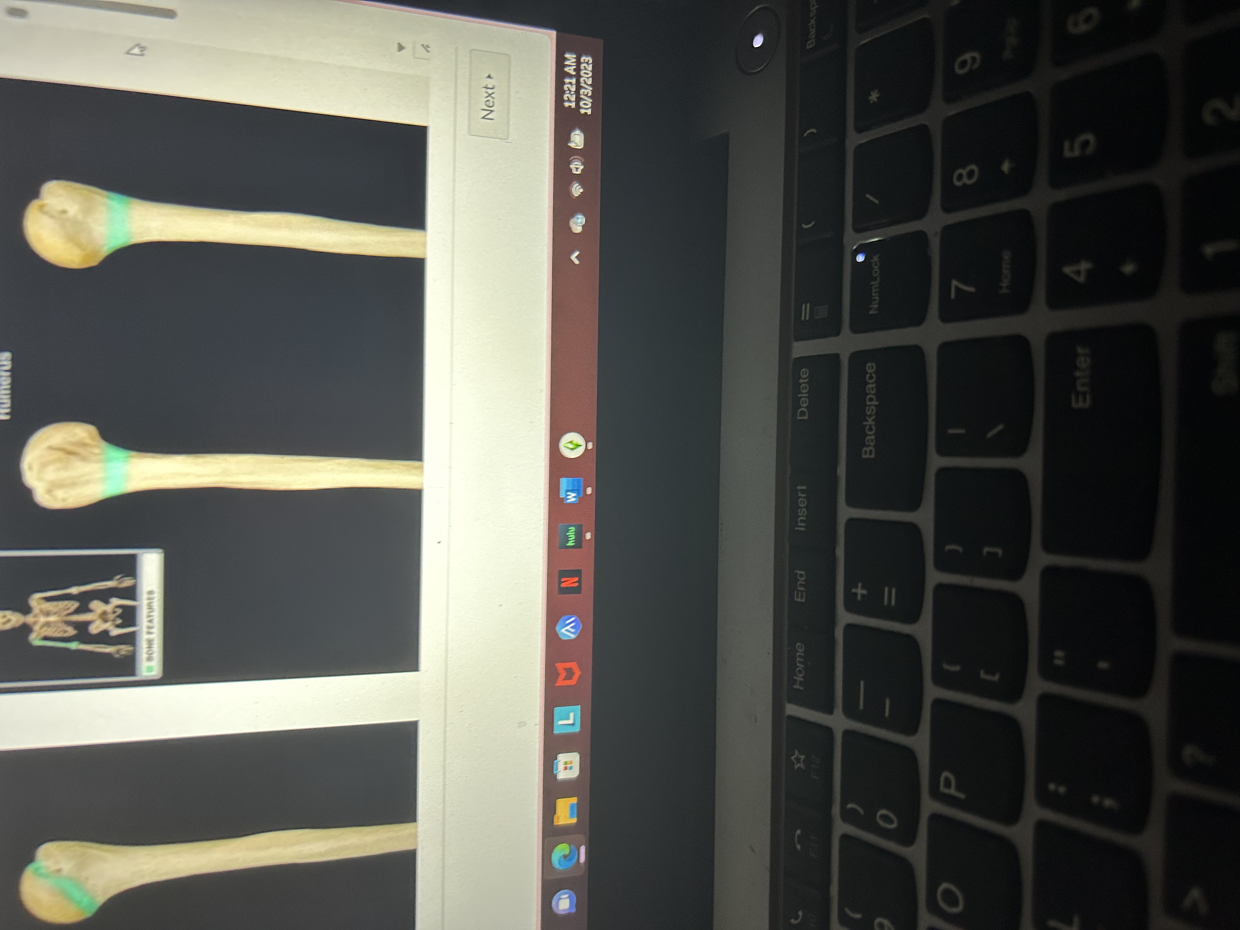 knowt flashcard image