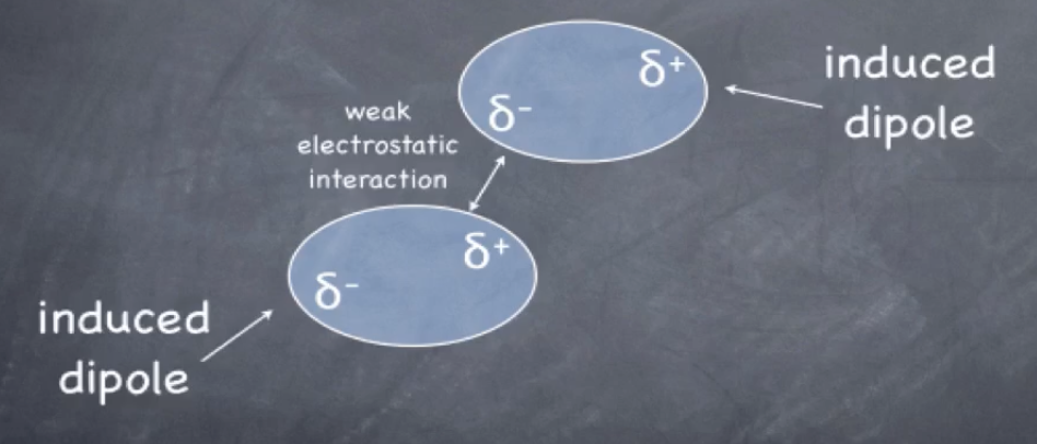 <p>induced dipole formed as e- clouds pass eachother</p><ul><li><p>areas of partial negative and partial positive form as molecules are distorted</p></li></ul><p>strength of van der Waal’s depends on <mark data-color="#eefb07" style="background-color: rgb(238, 251, 7); color: inherit;">polarizability (surface area), LARGER molecules=more surface area</mark></p><p></p>