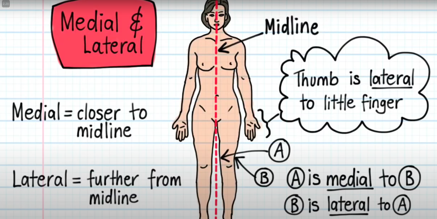 <p>away from midline</p><p></p><p>Example: Thumb is lateral to little finger</p>