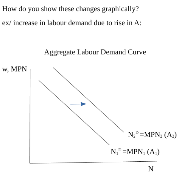 <p><span style="color: rgb(0, 0, 0)">1. Beneficial productivity shock<br>2. Higher capital stock</span></p><p></p><p><span style="color: #000000">Aggregate Labour Demand: the sum of all labour demands of all firms in the economy</span></p><ul><li><p><span style="color: #000000">e.g. 100 firms like Sonny’s would mean an aggregate labour demand of ND=500-20w</span><span style="color: #000000"><br></span><span style="color: #000000">(or as we graph it w=25-ND/20). Of course, a more complex function would</span><span style="color: #000000"><br></span><span style="color: #000000">incorporate more depending on the research question e.g. ND=f(A,K,w</span></p></li></ul><p></p>