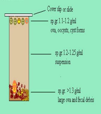 <p>what is this technique ?</p><p>parasitic value ?</p><p>commonly used solution ?</p><p>main advantage ?</p><p>disadvantage ?</p><p>مش موجود في سكشن المراجعه</p>