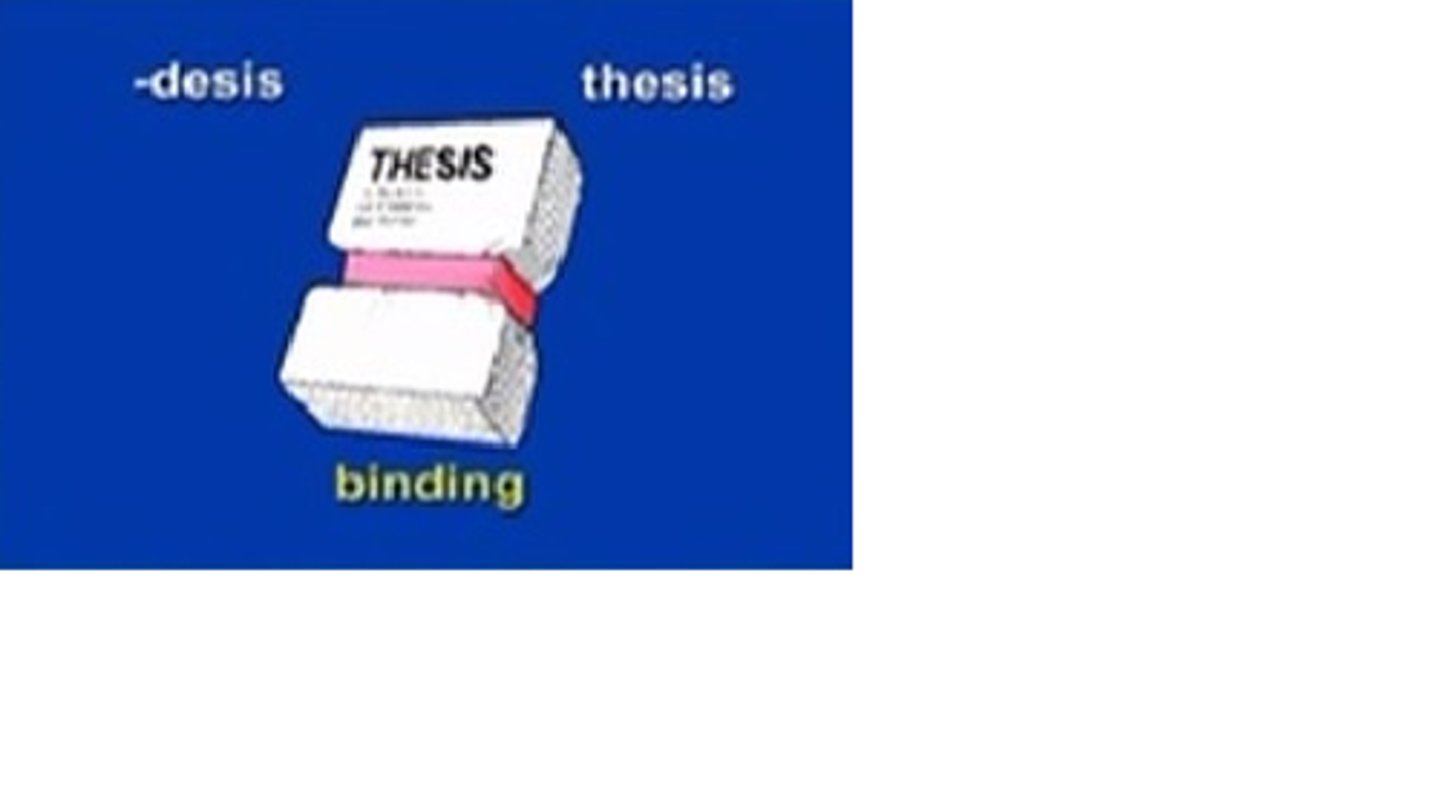 <p>binding</p>