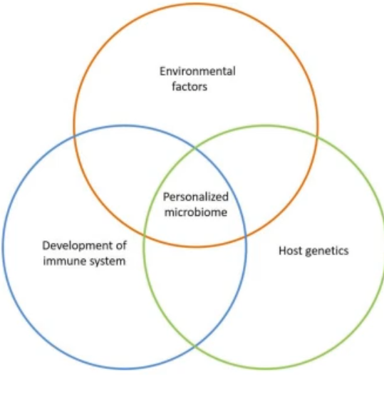 <p>where does our microbiome come from?</p>