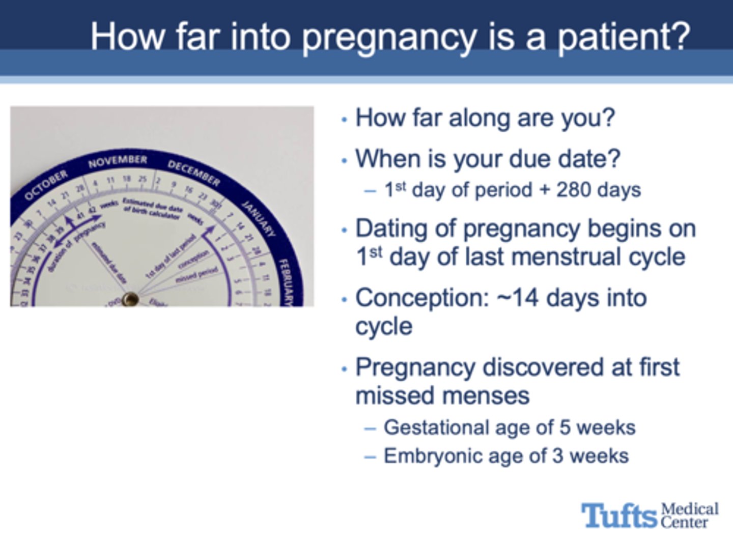 <p>1st day of last menstrual cycle</p>