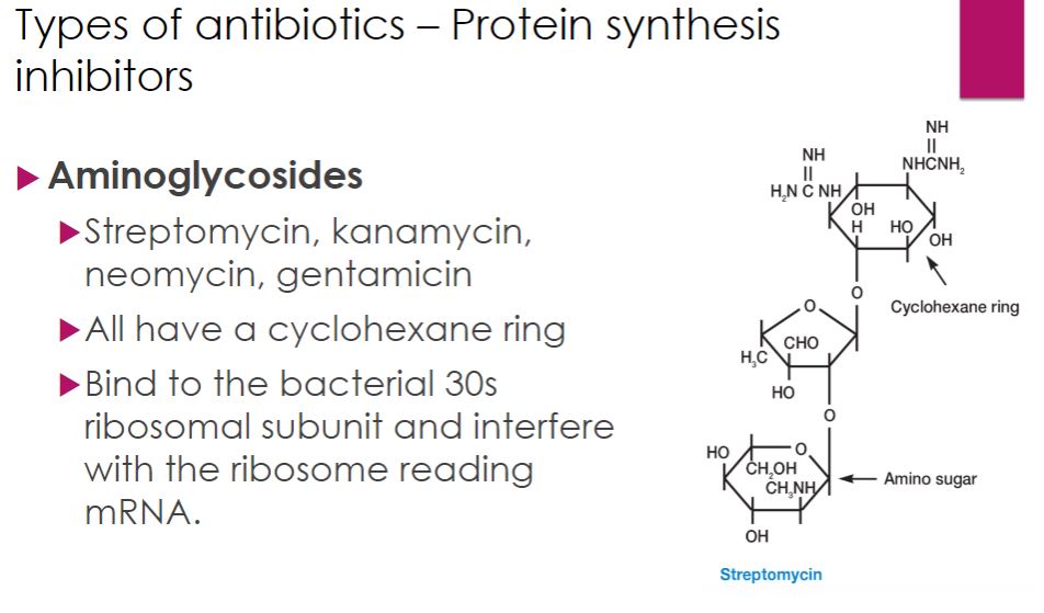 <p>Protein synthesis inhibitor</p>