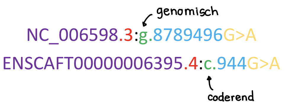 Onderdelen van een variant descriptie (5)
