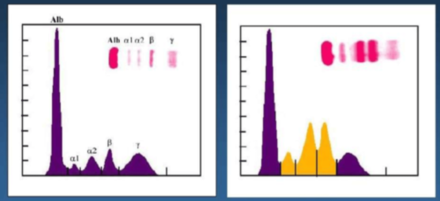 <p>which of these charts is showing a sample with inflammation?</p>