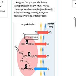<p><span><span>A B czy C</span></span></p>