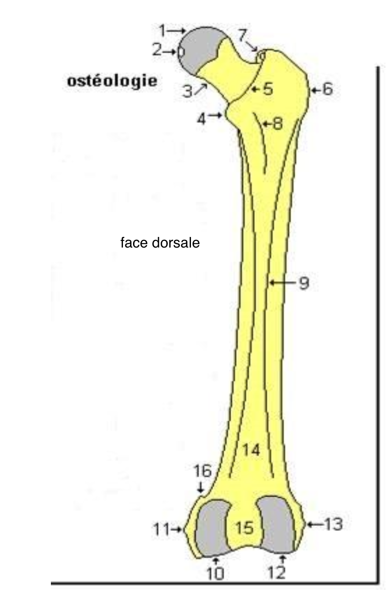 <p>1</p>