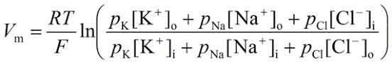 <p>flows from Nernst equation; takes into account contribution of each major ion to membrane potential<br>P: permeability for relevent ion</p>