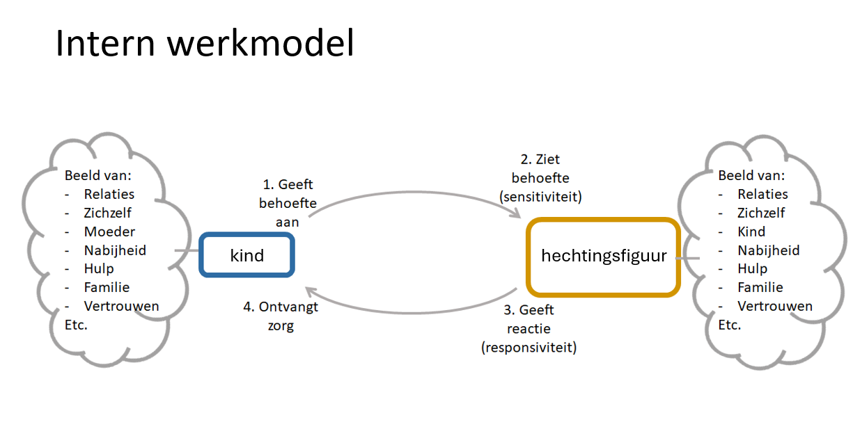 <p>Juist, de eigen gehechtheid van de opvoeder heeft veel invloed op de uiteindelijke hechting van het kind.</p>