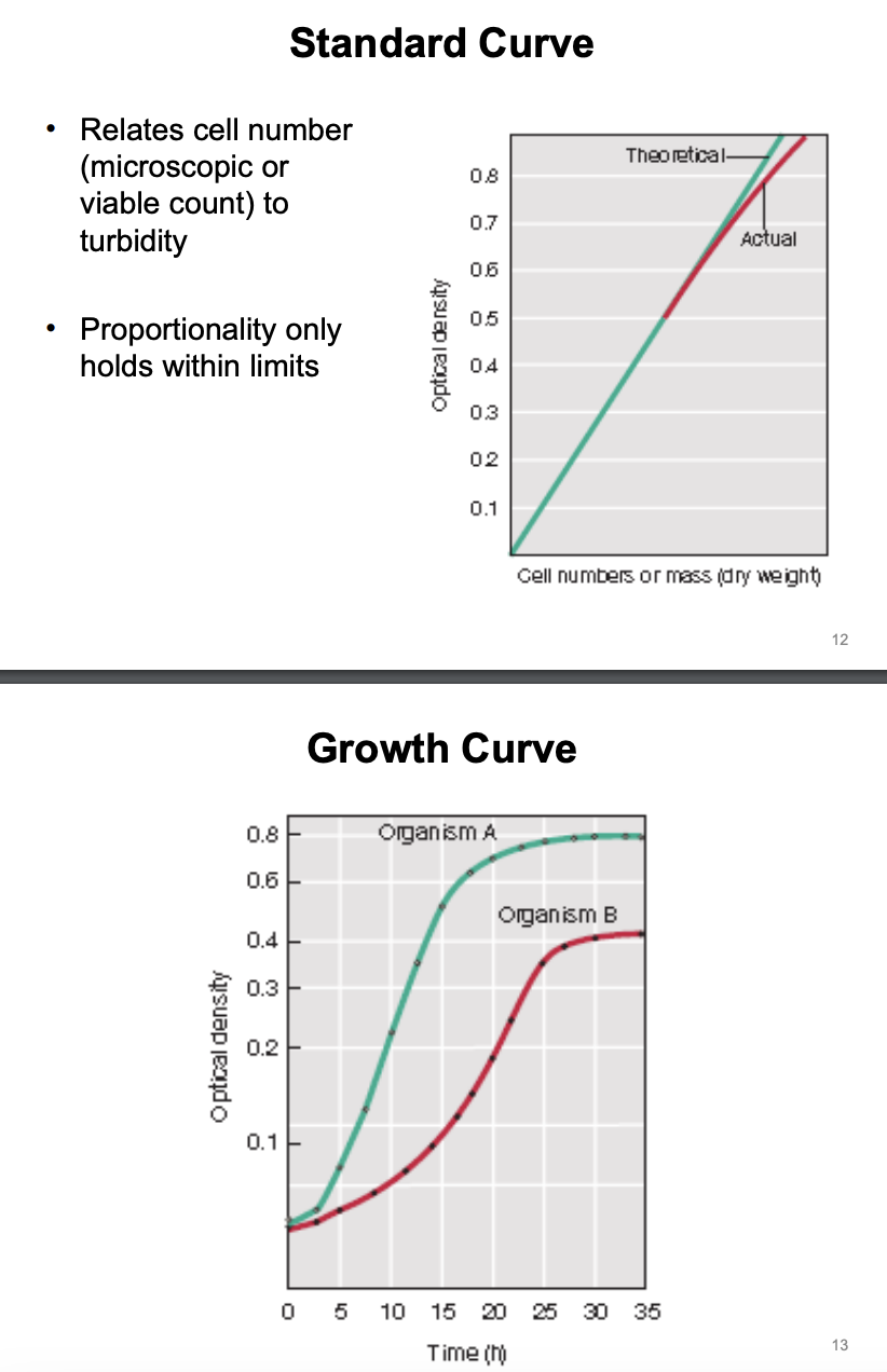 <ul><li><p><strong>Standard curve (linear)</strong></p><ul><li><p>Optical density (Y) vs. Number of cells (X)</p></li></ul></li><li><p><strong>Growth curve (logarithmic)</strong></p><ul><li><p>Optical density (Y) vs. Time (X)</p></li></ul></li></ul><p></p>