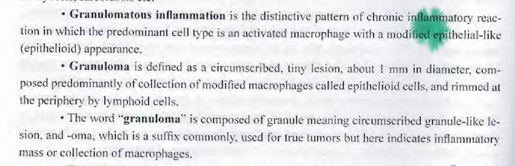 <p><strong>Blood vessels are present in the tubercle granuloma?</strong></p><ul><li><p>a) yes</p><ul><li><p>TB granulomas are called tubercle and they have a central caseous necrosis surrounding by epitheloid cells, lymphocytes, plasma cells and giant Langhans cells.</p></li><li><p>central is caseous, fluid - not blood vessels!</p></li></ul></li></ul><ul><li><p><strong>b) no</strong></p></li></ul><p></p>