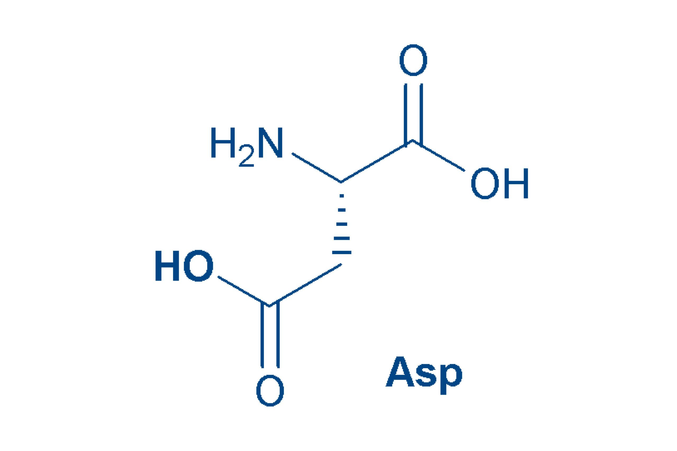 <p>amino acid</p>