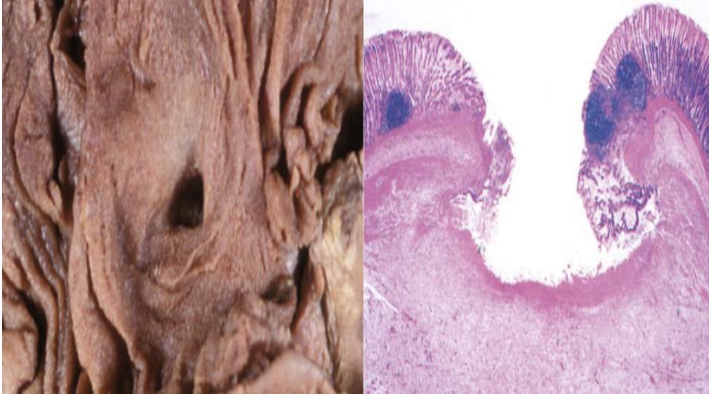 <p>A- identify</p><p>B- Describe A&amp;B</p>