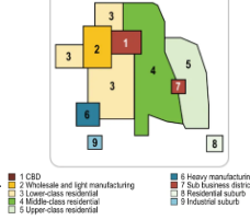 <p>Cities develop around multiple focal points and build outwards to create a functional region. Site and situational factors influence land-use patterns.</p><ul><li><p>CBD remains an important location, however there are other, smaller business districts in various locations.</p></li><li><p>Manufacturing &amp; Industry are located near transportation routes for easier shipping.</p></li><li><p>Similar businesses locate near each other to take advantage of labor pools, suppliers and communication.</p></li><li><p>Middle and high-income housing develops further from the city center and industry so as not to experience heavy traffic, pollution, etc.</p></li></ul>