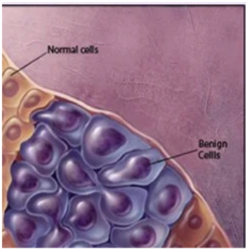 <p>Stays in the same place</p>
