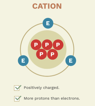 <p>what are atoms who carry a positive charge called?</p>