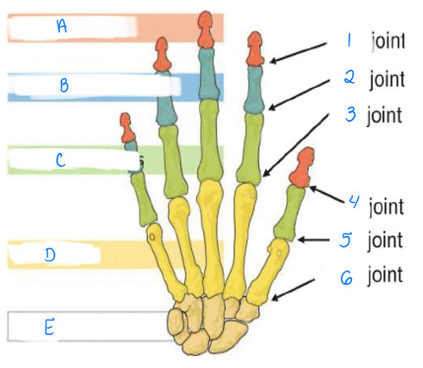 <p>Identify 1, 2, 3</p>