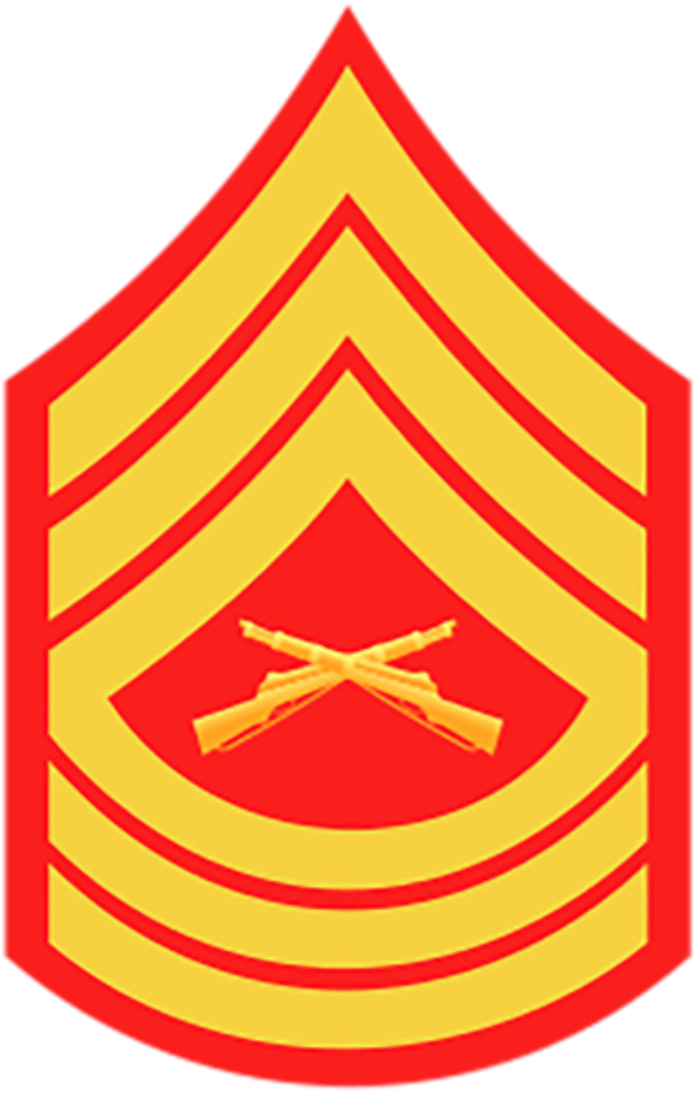 <p>Marine Corps: E-8</p>