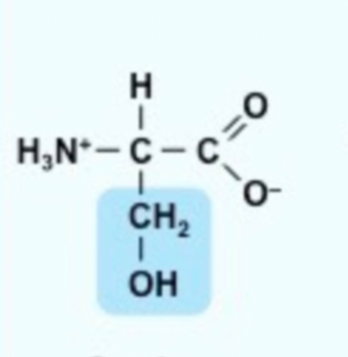<ul><li><p><strong>CH2</strong></p></li><li><p><strong>OH</strong></p></li></ul>