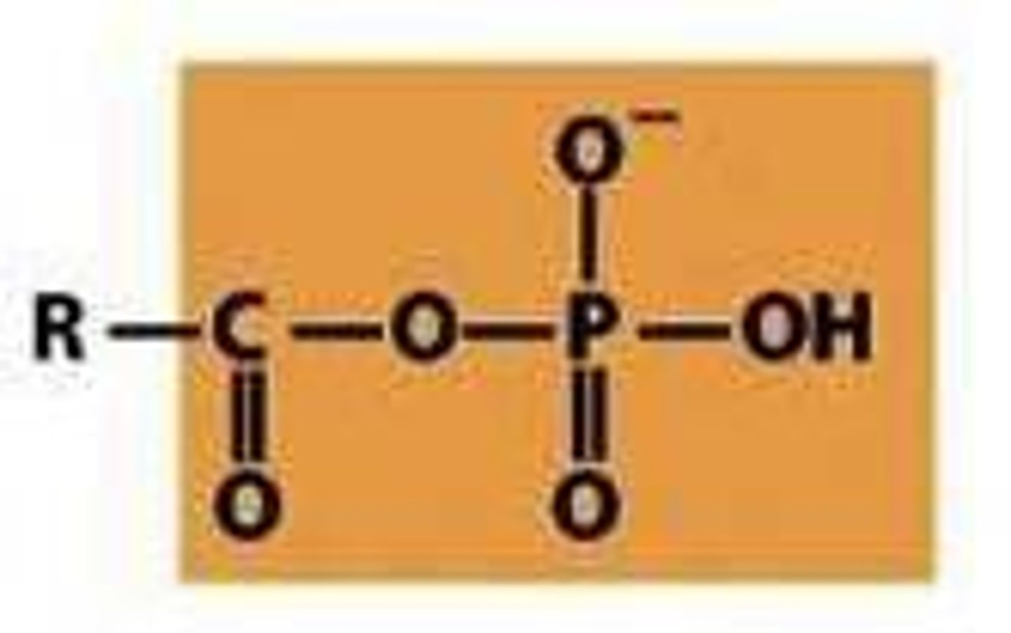 <p>-a carbonyl group bonded to a phosphoryl group</p>