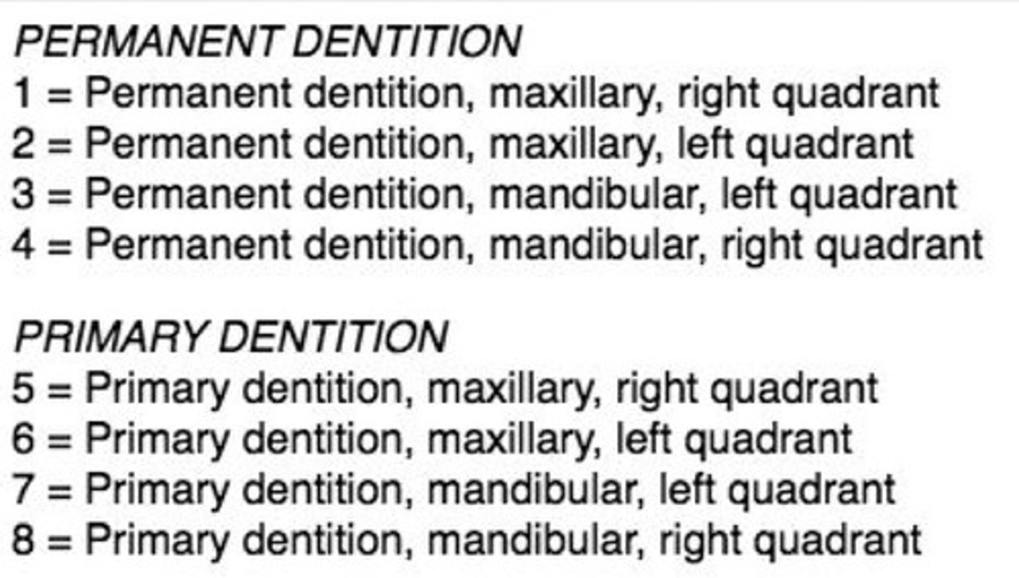 <p>uses 2 digits to identify teeth:</p><p>-first number relates to quadrant</p><p>-second number relates to position from midline</p><p>-example: 41 (Q4, tooth first from midline = tooth 25)</p>