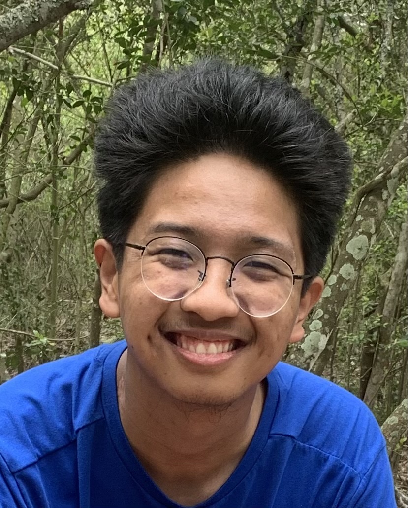term image