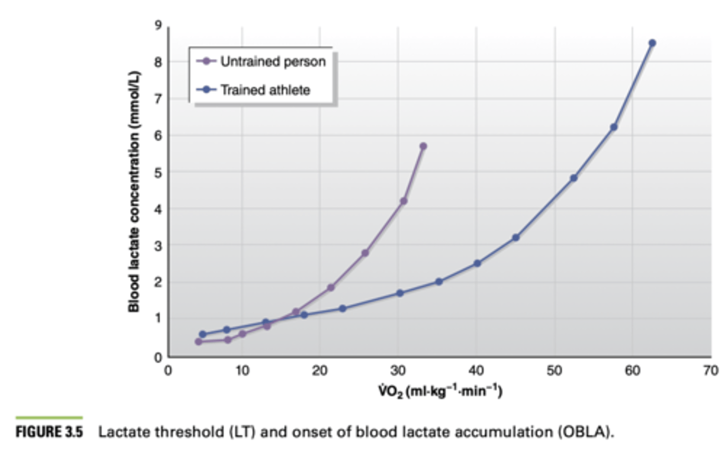 <p>onset of blood lactate accumulation (OBLA)</p>