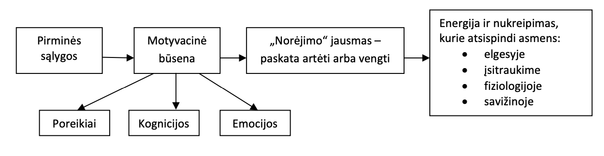 <ol><li><p>Pirminės ir anksčiau buvusios sąlygos - veikia dabartinę asmens motyvacinę būseną.</p></li><li><p>Kylantys poreikiai, emocijos ar kognicijos kuria norėjimo jausmą, kuris skatina žmogų siekti arba vengti.</p></li><li><p>Kilusi motyvacija elgesiui suteikia energijos ir kryptį</p></li><li><p>Galiausiai galime stebėti elgesį, vertinti motyvacijos intensyvumą pagal tai, kiek asmuo įsitraukia, stebėti fiziologinius pokyčius.</p></li></ol>