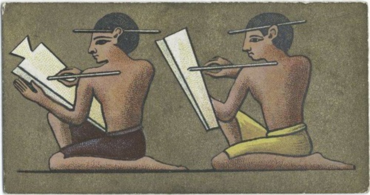 <p>A professional position reserved for men who were trained to be able to read and write using their ancient civilizations writing system.</p>