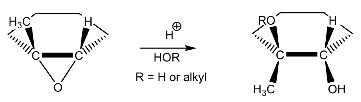 <p>Description of reaction and mechanism</p>
